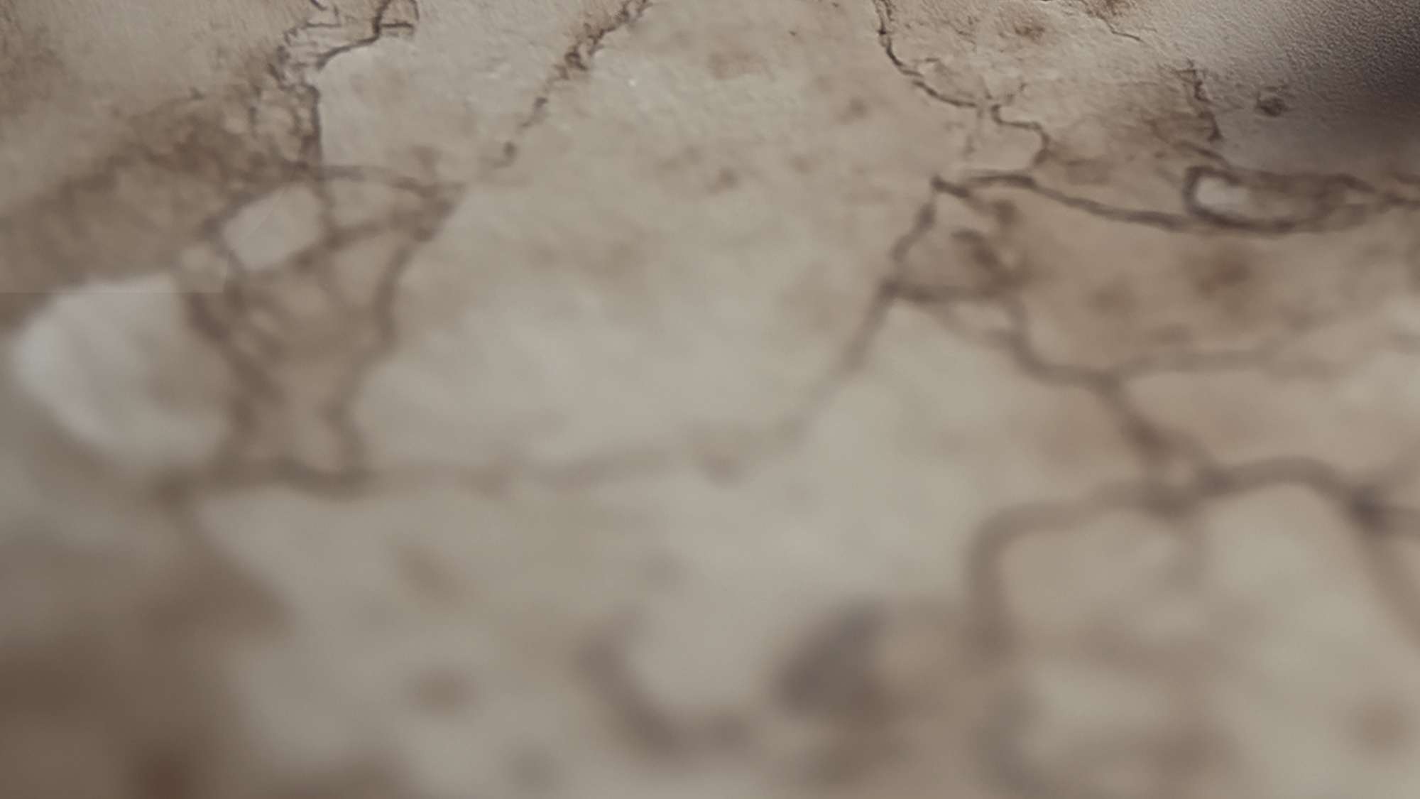 Founded in