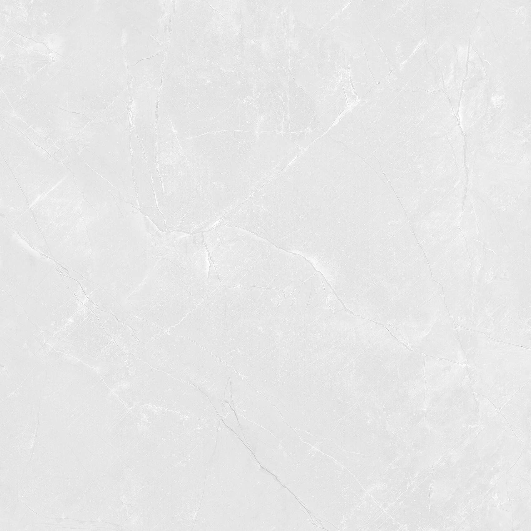 VSM-G88021P1