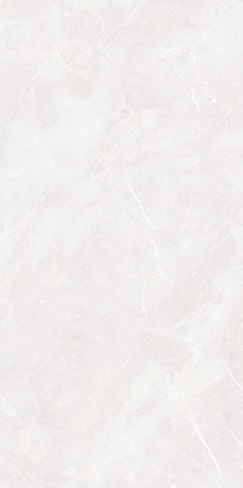 VSM-G48031P
