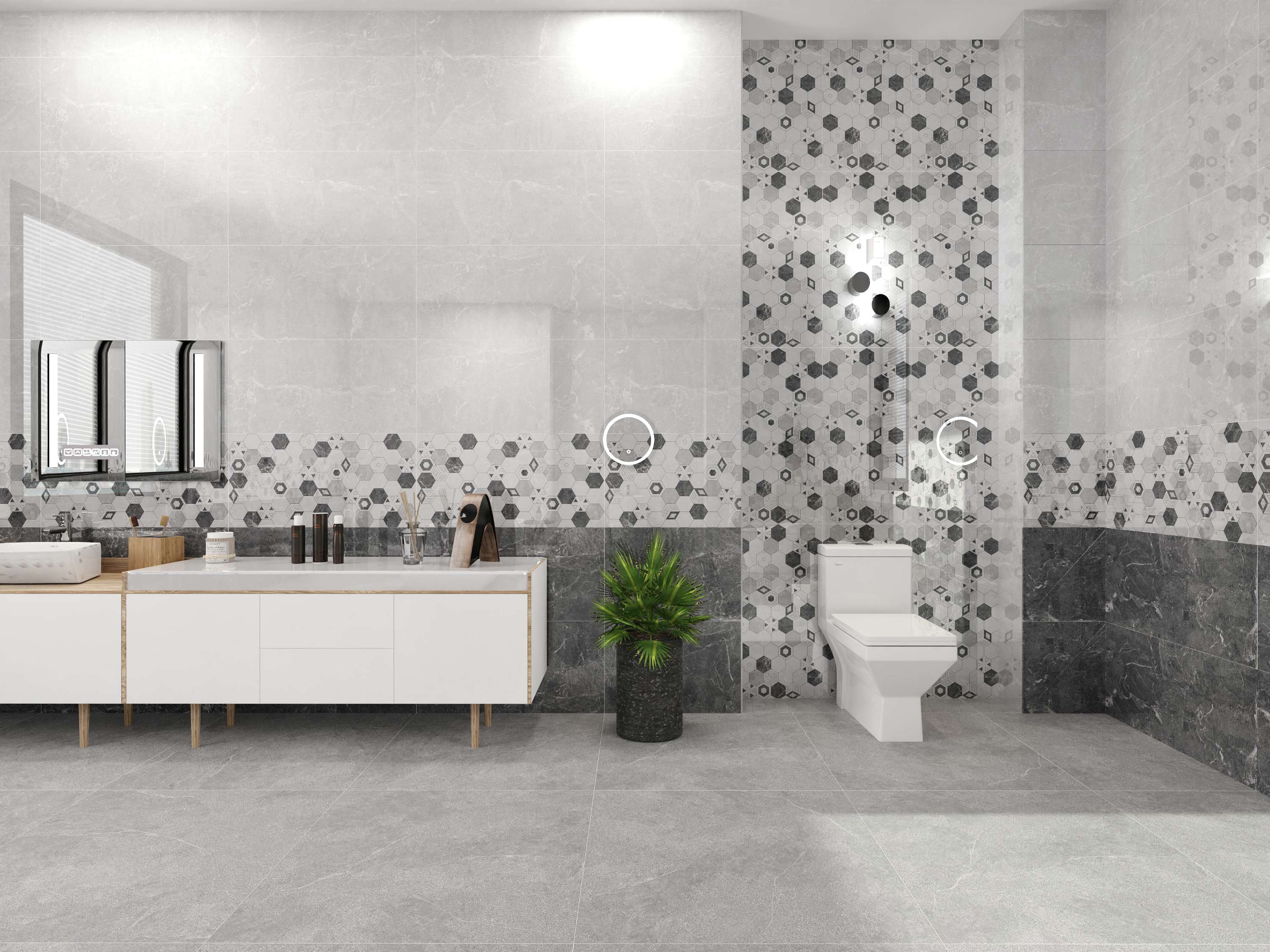 C48SW806-C48SG906D-C48SG906