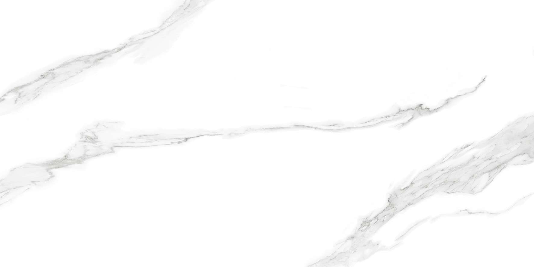 C61JW807/C81JW807/C88JW807