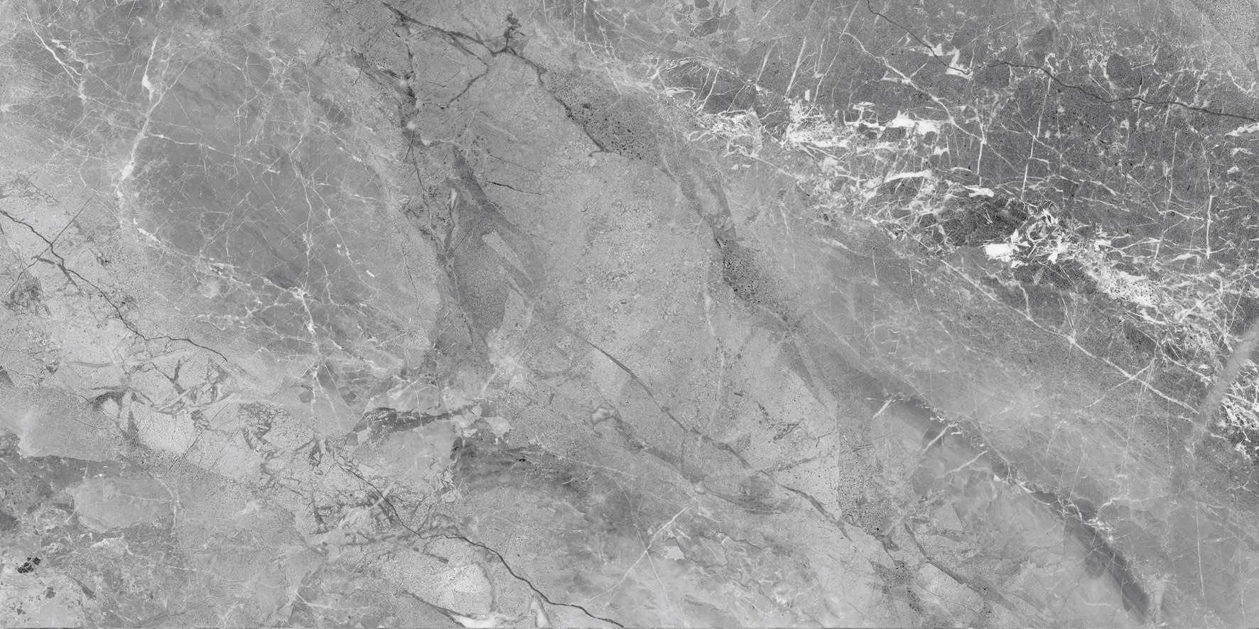 C61MA904/C81MA904/C88MA904