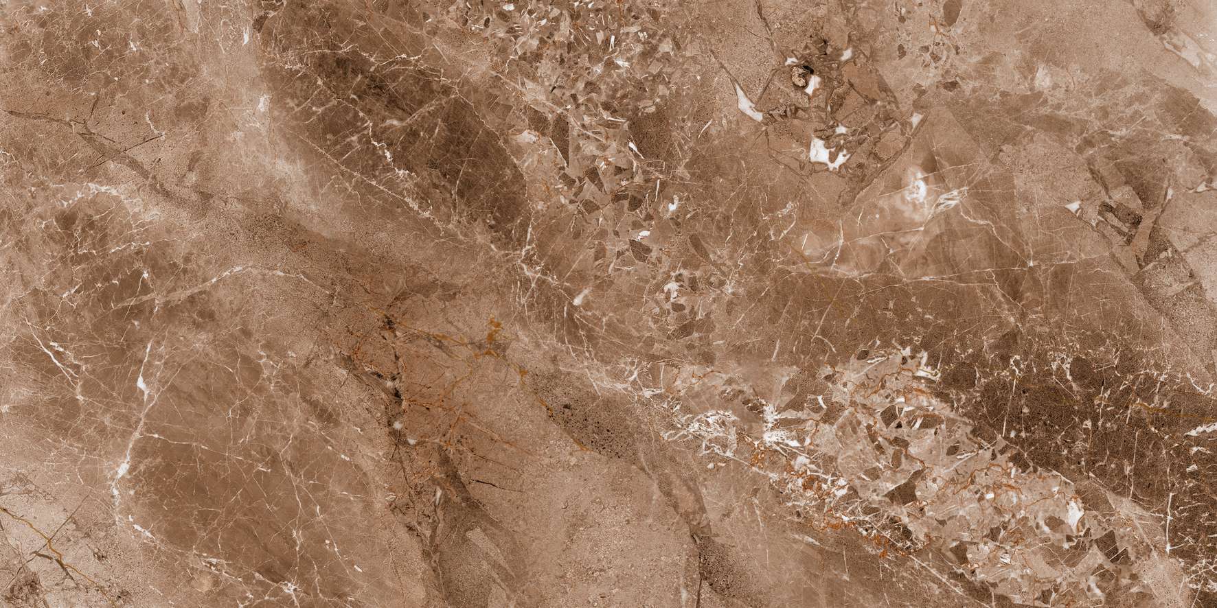 C61MS904/C81MS904/C88MS904