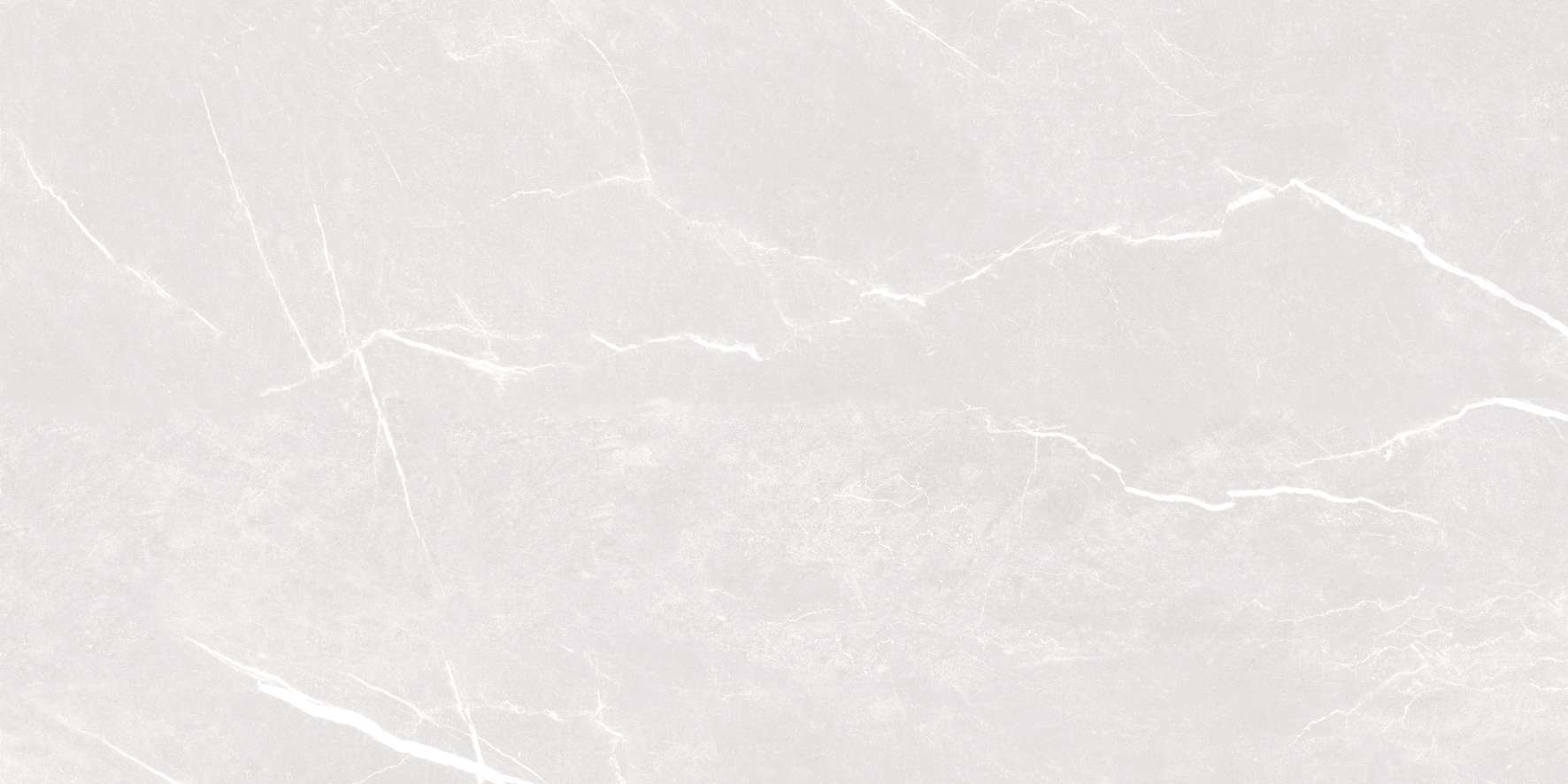 C61NS805/C81NS805/C88NS805