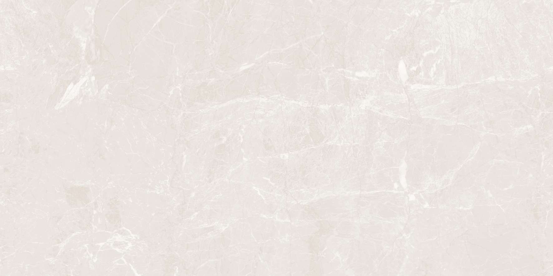 C61SA806/C81SA806/C88SA806