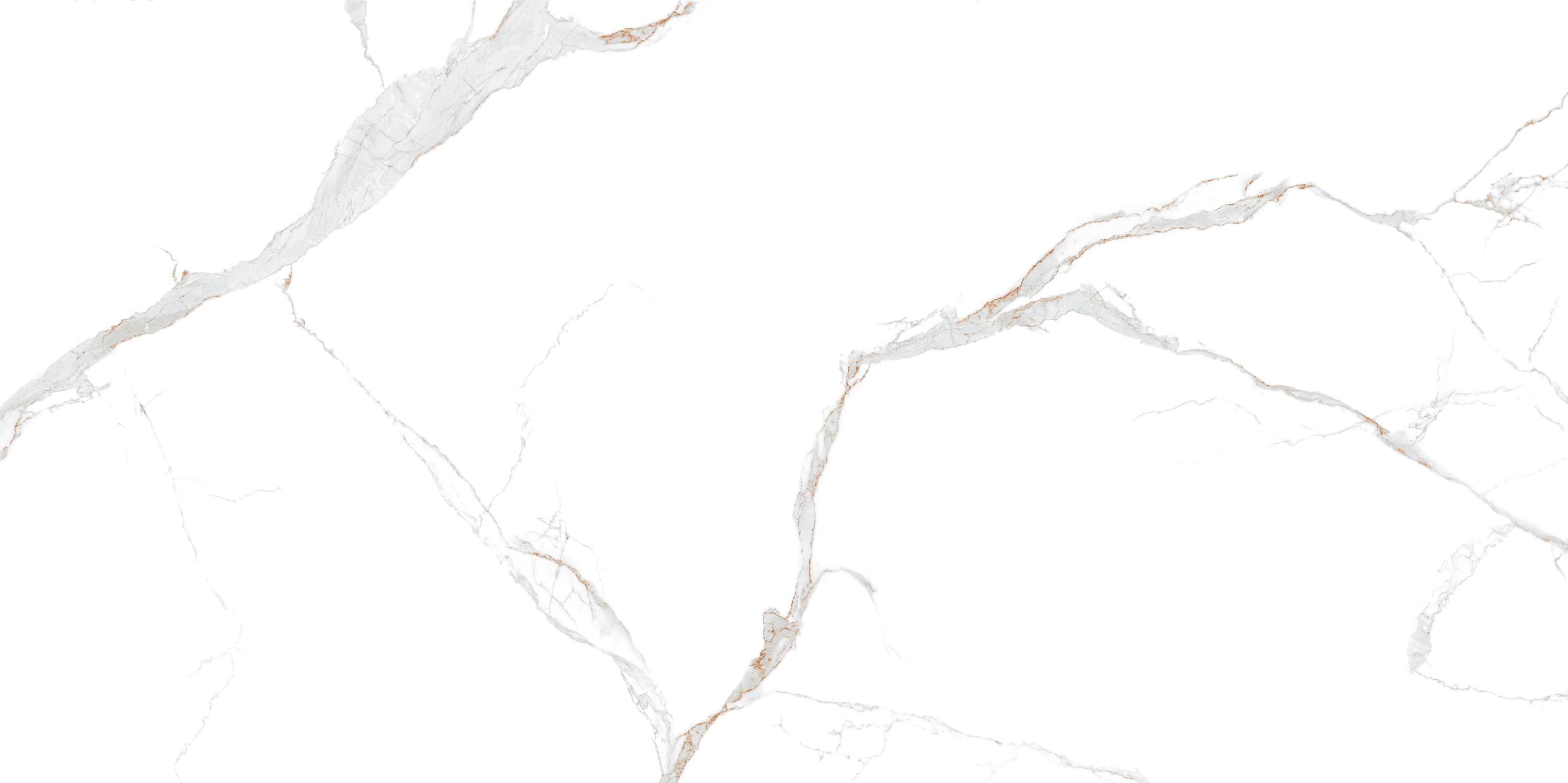 C61VW808/C81VW808/C88VW808