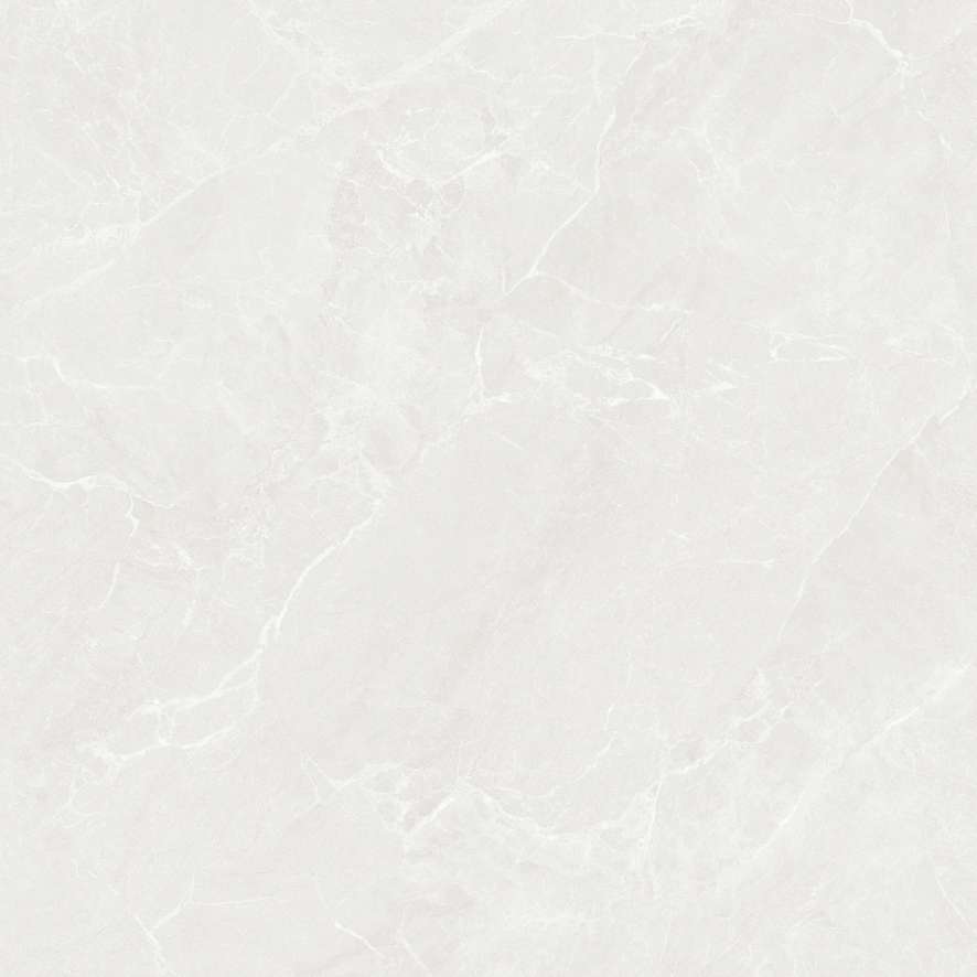 AMP66003/AMP88003/AMP61203