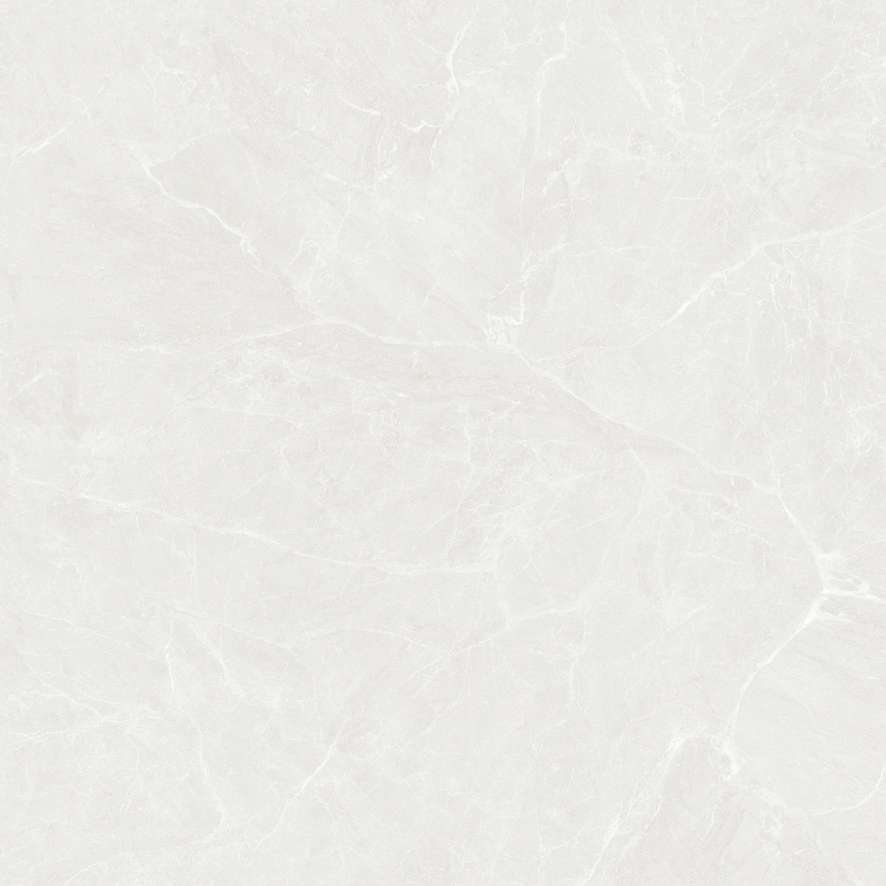 AMM66003/AMM88003/AMM61203